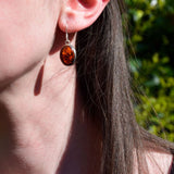 Boucles d'oreilles ovales en Ambre véritable et argent 925
