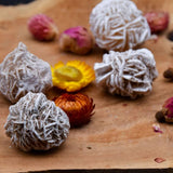 Rose des sables