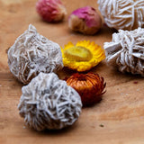 Rose des sables