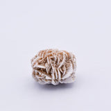Rose des sables