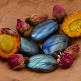 Galet Labradorite - Bouclier de lumière